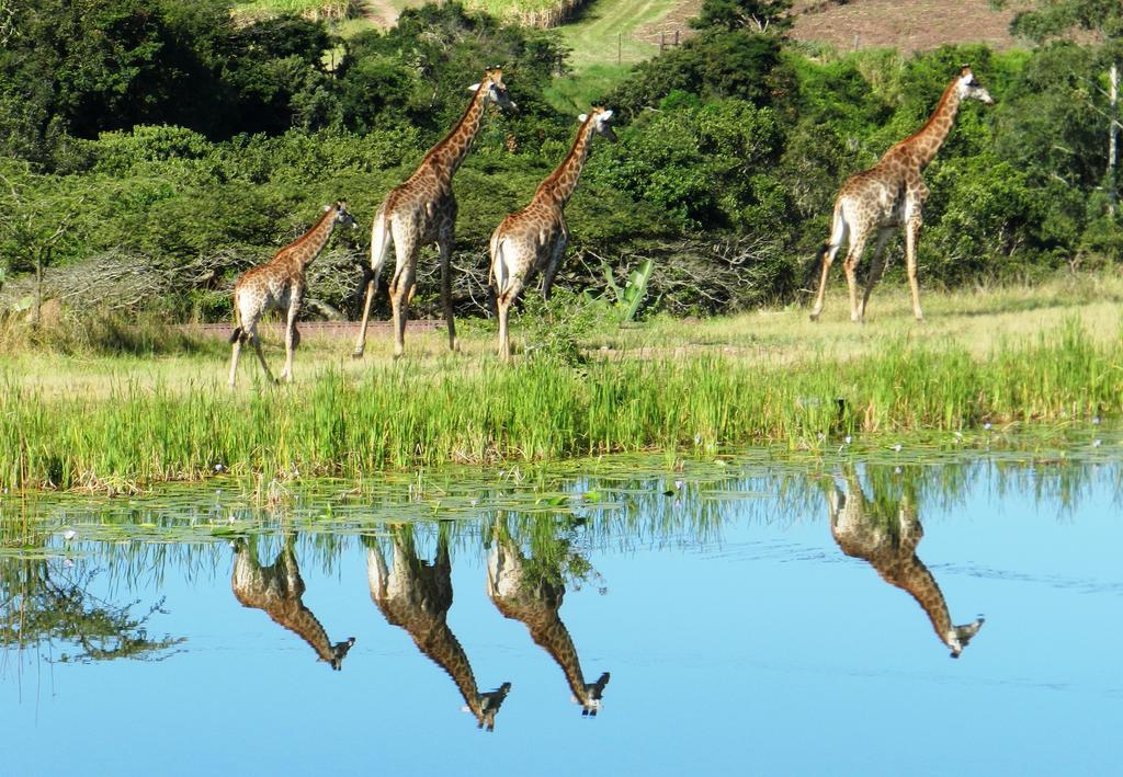 Rain Farm Game Lodge